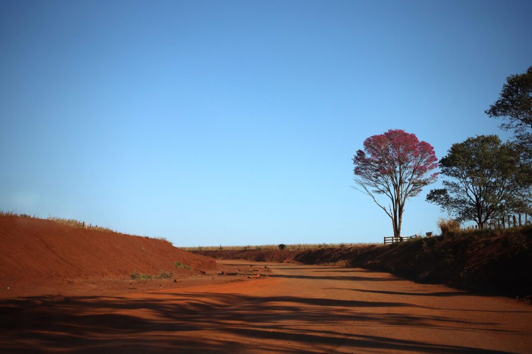 Com baixa umidade do ar e sol, MS tem previsão Com baixa umidade do ar e sol, MS tem previsão de semana quente e sem chuva