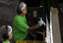 Mato Grosso do Sul possui 5.039 vagas de emprego em 520 ocupações – Agência de Noticias do Governo de Mato Grosso do Sul