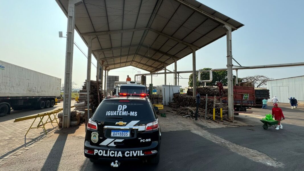 Polícia Civil incinera mais de uma tonelada de entorpecente em Polícia Civil incinera mais de uma tonelada de entorpecente em Iguatemi