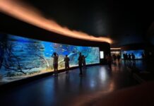 Bioparque Pantanal vai celebrar o feriado de Independência em horário especial – Agência de Noticias do Governo de Mato Grosso do Sul