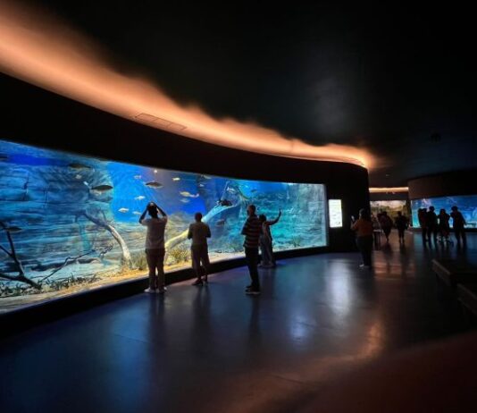 Bioparque Pantanal vai celebrar o feriado de Independência em horário especial – Agência de Noticias do Governo de Mato Grosso do Sul