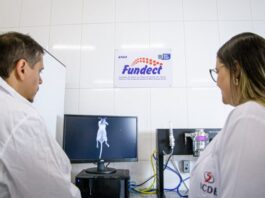 Editais da Fundect em Mato Grosso do Sul incentivam pesquisas com mobilidade internacional – Agência de Noticias do Governo de Mato Grosso do Sul