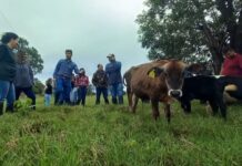 Governo de MS abre concurso com 123 vagas na Agraer e salários que passam de R$ 7 mil – Agência de Noticias do Governo de Mato Grosso do Sul