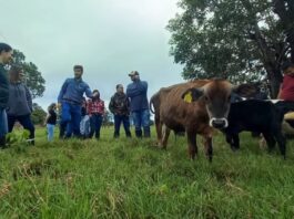 Governo de MS abre concurso com 123 vagas na Agraer e salários que passam de R$ 7 mil – Agência de Noticias do Governo de Mato Grosso do Sul