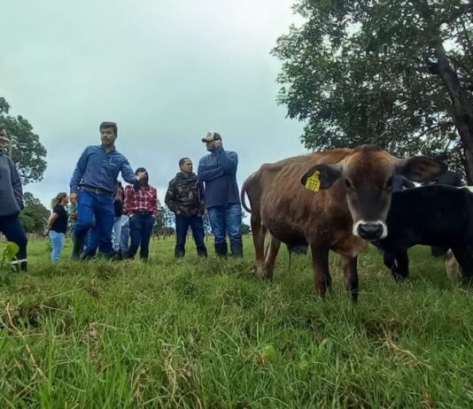 Governo de MS abre concurso com 123 vagas na Agraer e salários que passam de R$ 7 mil – Agência de Noticias do Governo de Mato Grosso do Sul