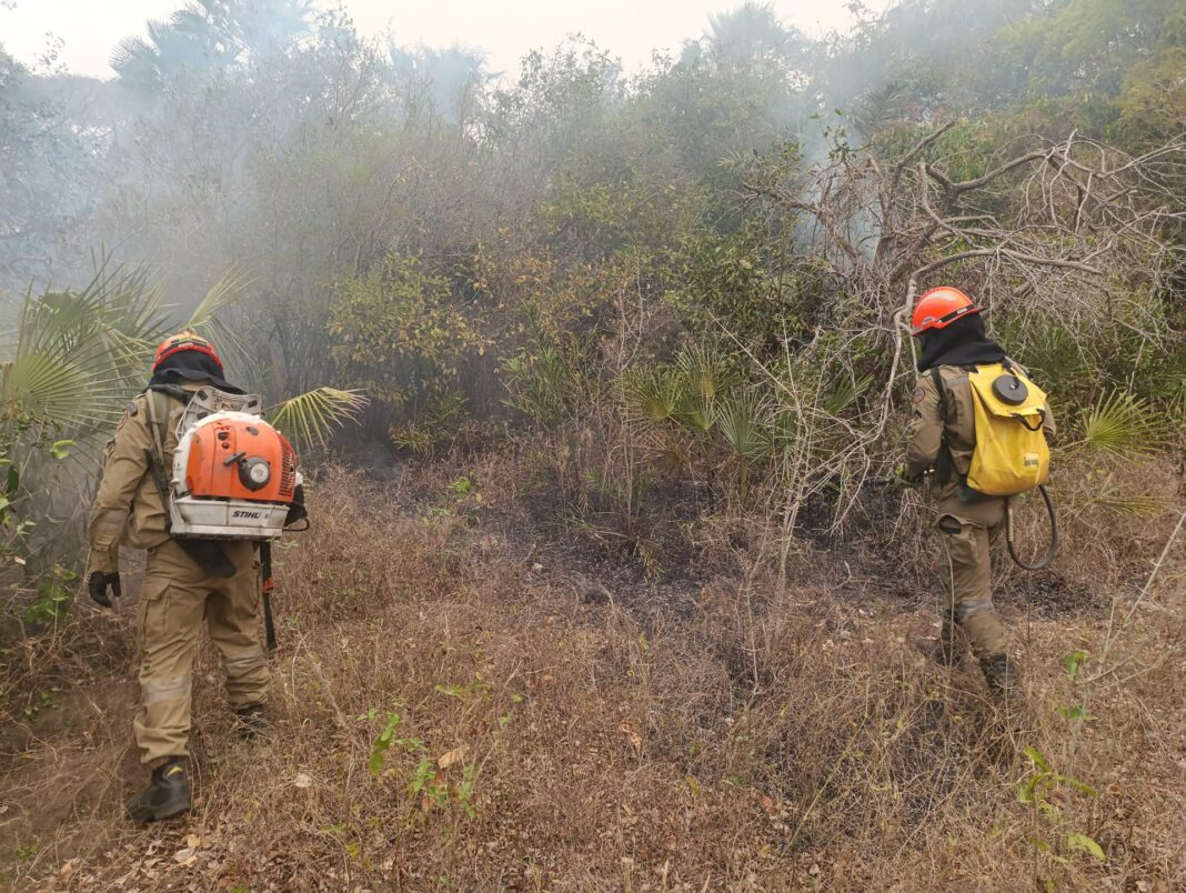 Incêndios florestais se intensificam em biomas de MS, na fronteira