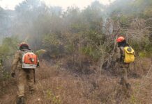 Incêndios florestais se intensificam em biomas de MS, na fronteira com a Bolívia combate continua