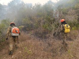 Incêndios florestais se intensificam em biomas de MS, na fronteira com a Bolívia combate continua