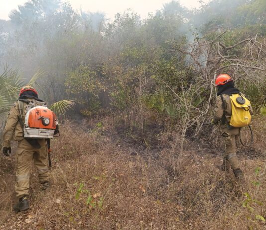 Incêndios florestais se intensificam em biomas de MS, na fronteira com a Bolívia combate continua