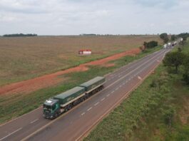 Oficializada inclusão de rodovias federais da “Rota da Celulose” no programa de concessão de Mato Grosso do Sul