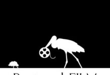 Pantanal Film abre cadastro para profissionais, estudantes e produtoras de audiovisual de MS – Agência de Noticias do Governo de Mato Grosso do Sul