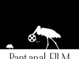 Pantanal Film abre cadastro para profissionais, estudantes e produtoras de audiovisual de MS – Agência de Noticias do Governo de Mato Grosso do Sul