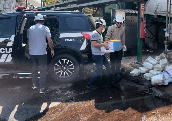 Polícia Civil incinera 300 quilos de drogas apreendidas em operações contra o tráfico em Três Lagoas