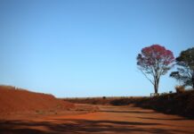 Tempo permanece quente e seco, com umidade relativa do ar entre 5% e 20% nesta quarta-feira Tempo permanece quente e seco, com umidade relativa do ar entre 5% e 20% nesta quarta-feira