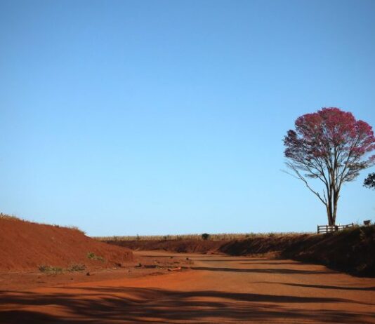 Tempo permanece quente e seco, com umidade relativa do ar entre 5% e 20% nesta quarta-feira Tempo permanece quente e seco, com umidade relativa do ar entre 5% e 20% nesta quarta-feira