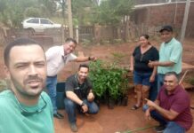 Ação Cidadania ECOmunitária comemora 21 anos do Estatuto da Pessoa Idosa com plantio de árvores em mata devastada pelo fogo Ação Cidadania ECOmunitária comemora 21 anos do Estatuto da Pessoa Idosa com plantio de árvores em mata devastada pelo fogo