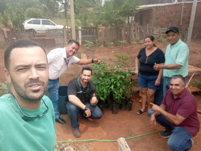 Ação Cidadania ECOmunitária comemora 21 anos do Estatuto da Pessoa Idosa com plantio de árvores em mata devastada pelo fogo