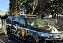 Indivíduo é preso pela Polícia Civil e Guarda Municipal em Dourados após furtar estabelecimento comercial Em Dourados, Polícia Civil cumpre mandado de prisão preventiva de estelionatário