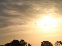 Final de semana tem previsão de tempo firme e temperaturas elevadas em Mato Grosso do Sul – Agência de Noticias do Governo de Mato Grosso do Sul Final de semana tem previsão de tempo firme e temperaturas elevadas em Mato Grosso do Sul – Agência de Noticias do Governo de Mato Grosso do Sul