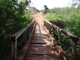 Governo garante asfalto ao Parque Lageado com obras que vão levar mais acessibilidade e segurança aos moradores Governo garante asfalto ao Parque Lageado com obras que vão levar mais acessibilidade e segurança aos moradores