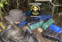 Mato Grosso do Sul intensifica combate ao tráfico e registra aumento de 33% nas apreensões de drogas Mato Grosso do Sul intensifica combate ao tráfico e registra aumento de 33% nas apreensões de drogas