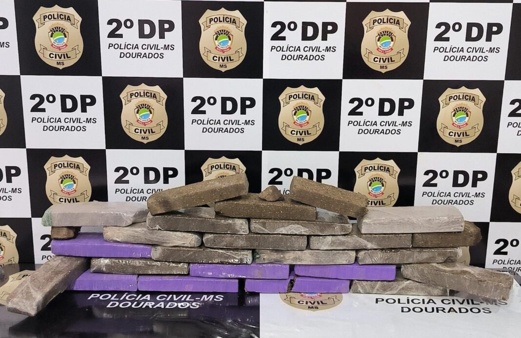 Polícia Civil apreende 16 kg de maconha em Dourados Polícia Civil apreende 16 kg de maconha em Dourados