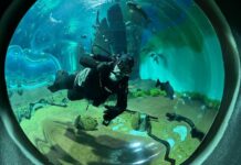 Opção de lazer: Bioparque Pantanal abrirá as portas no feriado com horário especial Opção de lazer: Bioparque Pantanal abrirá as portas no feriado com horário especial