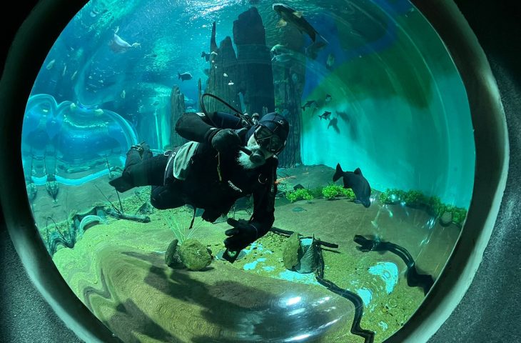 Opção de lazer: Bioparque Pantanal abrirá as portas no feriado Opção de lazer: Bioparque Pantanal abrirá as portas no feriado com horário especial