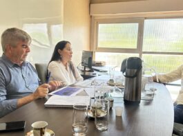 Vereador Veterinário Francisco visita a UBEA e reforça compromisso com a Causa Animal – Câmara Municipal de Campo Grande Vereador Veterinário Francisco visita a UBEA e reforça compromisso com a Causa Animal - Câmara Municipal de Campo Grande