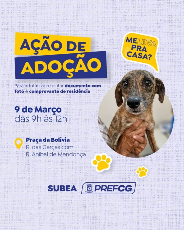 Prefeitura realiza ação de adoção de cães e gatos no domingo (09)