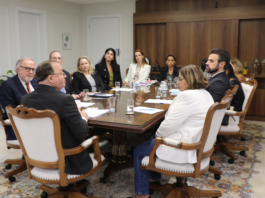 TJMS recebe Ministra das Mulheres em reunião e define medidas de urgência Imagem notícia TJMS recebe Ministra das Mulheres em reunião e define medidas de urgência