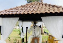 Campo Grande celebra hoje o Dia Municipal do Preto Velho, data instituída por lei da vereadora Luiza – Câmara Municipal de Campo Grande Campo Grande celebra hoje o Dia Municipal do Preto Velho, data instituída por lei da vereadora Luiza - Câmara Municipal de Campo Grande