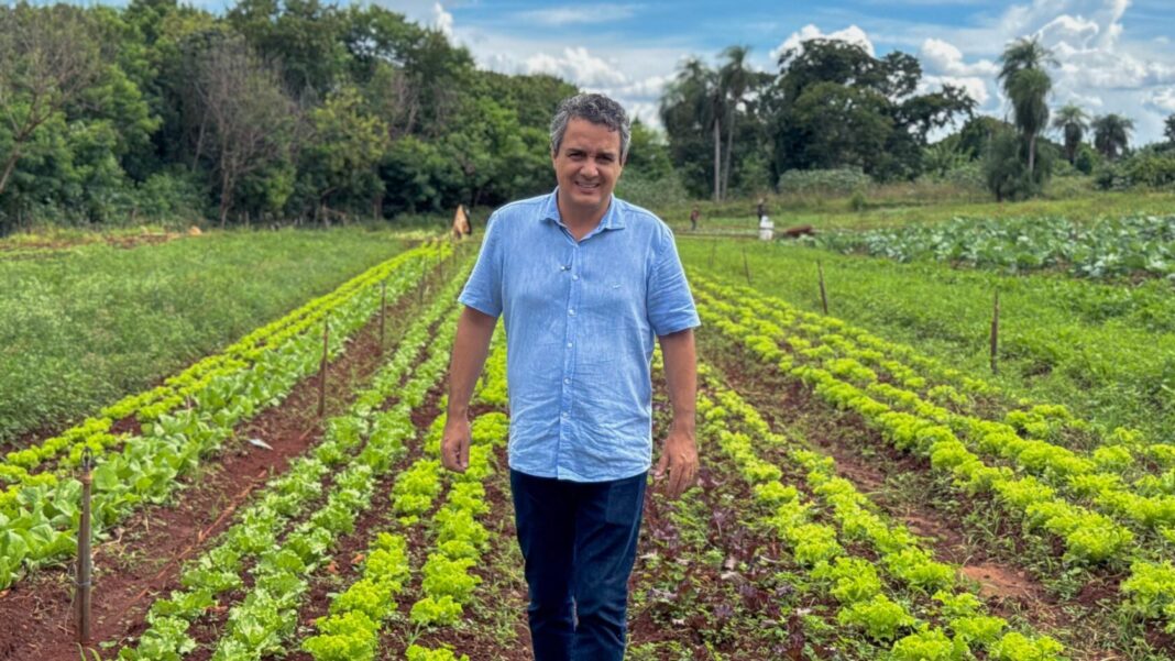 Landmark propõe criação de Frente Parlamentar pela Regularização das Hortas Urbanas e Periurbanas em Campo Grande - Câmara Municipal de Campo Grande