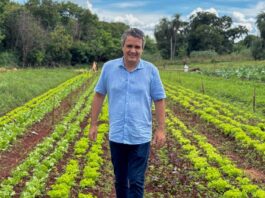 Landmark propõe criação de Frente Parlamentar pela Regularização das Hortas Urbanas e Periurbanas em Campo Grande – Câmara Municipal de Campo Grande Landmark propõe criação de Frente Parlamentar pela Regularização das Hortas Urbanas e Periurbanas em Campo Grande - Câmara Municipal de Campo Grande