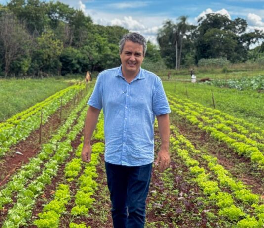 Landmark propõe criação de Frente Parlamentar pela Regularização das Hortas Urbanas e Periurbanas em Campo Grande – Câmara Municipal de Campo Grande Landmark propõe criação de Frente Parlamentar pela Regularização das Hortas Urbanas e Periurbanas em Campo Grande - Câmara Municipal de Campo Grande