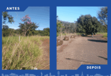 A pedido da população, Vereador Marquinhos Trad solicita limpeza área pública na Vila Nasser – Câmara Municipal de Campo Grande A pedido da população, Vereador Marquinhos Trad solicita limpeza área pública na Vila Nasser - Câmara Municipal de Campo Grande