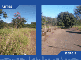 A pedido da população, Vereador Marquinhos Trad solicita limpeza área pública na Vila Nasser – Câmara Municipal de Campo Grande A pedido da população, Vereador Marquinhos Trad solicita limpeza área pública na Vila Nasser - Câmara Municipal de Campo Grande