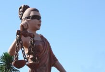 Homem é condenado em R$ 141 mil por manter filhotes de papagaio em cativeiro Imagem notícia Homem é condenado em R$ 141 mil por manter filhotes de papagaio em cativeiro