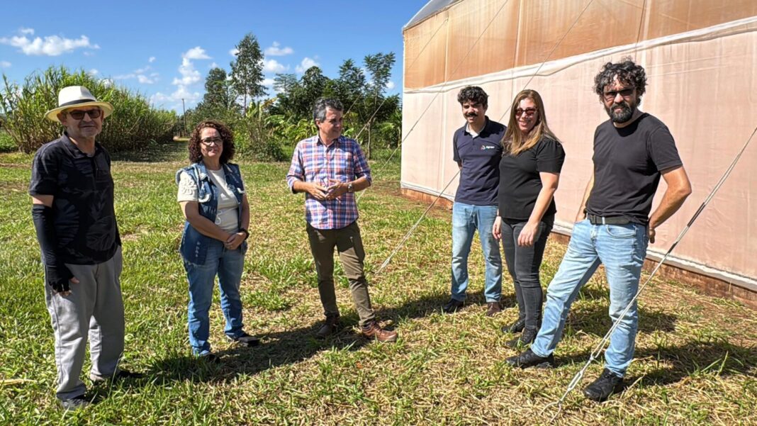 Landmark articula projetos e reforça apoio a pesquisadores que garantem comida de qualidade nas mesas de MS - Câmara Municipal de Campo Grande