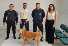 Projeto “Patas que Acolhemâ€� revoluciona atendimento a vítimas no Fórum de Anastácio Imagem notícia Projeto “Patas que Acolhem” revoluciona atendimento a vítimas no Fórum de Anastácio