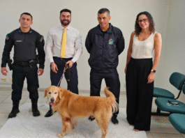 Projeto “Patas que Acolhemâ€� revoluciona atendimento a vítimas no Fórum de Anastácio Imagem notícia Projeto “Patas que Acolhem” revoluciona atendimento a vítimas no Fórum de Anastácio