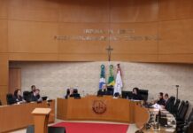 TJMS decide que ataque de pitbull gera dever de indenizar por danos morais Imagem notícia TJMS decide que ataque de pitbull gera dever de indenizar por danos morais