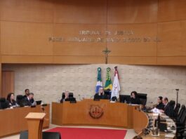 TJMS decide que ataque de pitbull gera dever de indenizar por danos morais Imagem notícia TJMS decide que ataque de pitbull gera dever de indenizar por danos morais