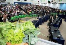 Homenageados por Landmark destacam que solenidade marca virada na valorização do campo – Câmara Municipal de Campo Grande Homenageados por Landmark destacam que solenidade marca virada na valorização do campo - Câmara Municipal de Campo Grande