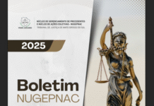 Nugepnac publica segundo boletim com atualizações sobre precedentes qualificados Imagem notícia Nugepnac publica segundo boletim com atualizações sobre precedentes qualificados