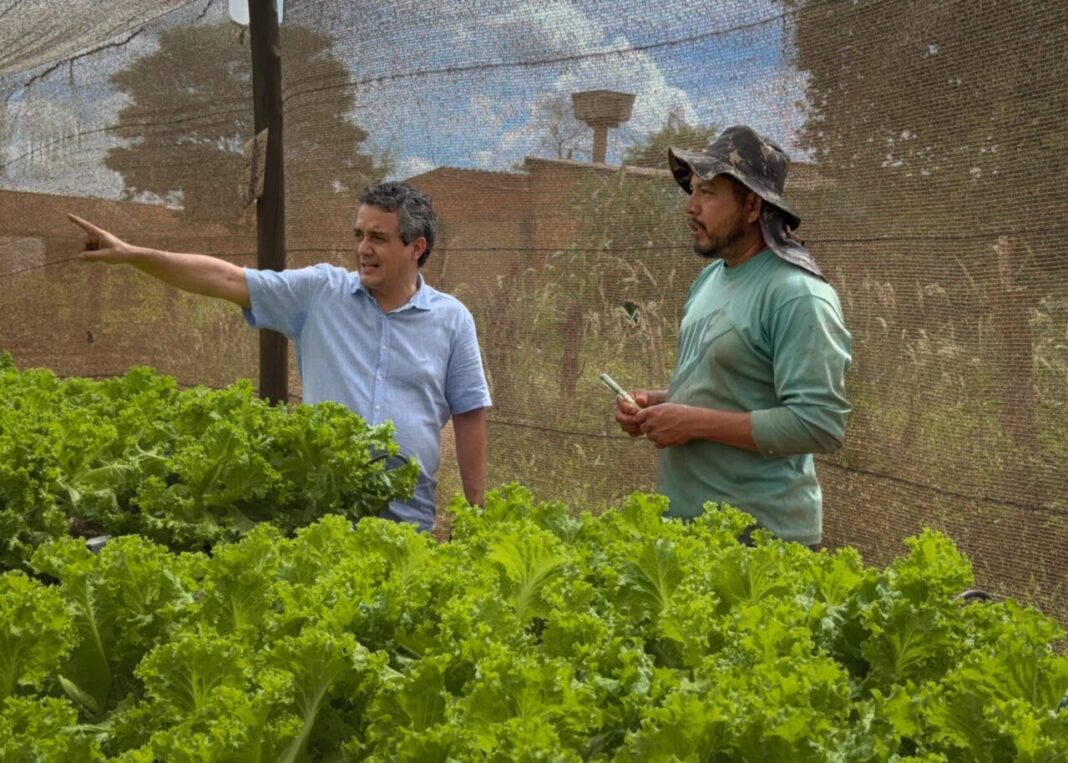 Proposta por Landmark, solenidade homenageia agricultura familiar e destaca quem coloca comida na mesa em Campo Grande - Câmara Municipal de Campo Grande