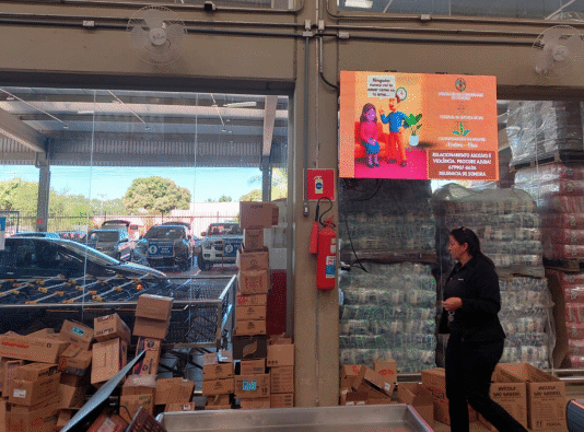 Comarca de Sonora inicia campanha de conscientização sobre violência contra a mulher Imagem notícia Comarca de Sonora inicia campanha de conscientização sobre violência contra a mulher