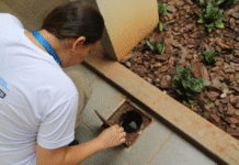 Equipe da Sesau realiza vistoria em unidades do Tribunal de Justiça Imagem notícia Equipe da Sesau realiza vistoria em unidades do Tribunal de Justiça