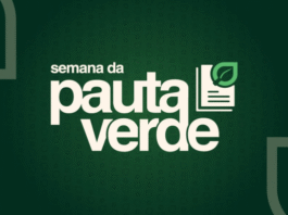Semana da Pauta Verde terá 430 audiências de conciliação de 18 a 22 de agosto Imagem notícia Semana da Pauta Verde terá 430 audiências de conciliação de 18 a 22 de agosto