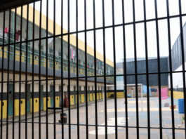 TJ encerra Mutirão Processual Pena Justa com mais de 5 mil processos revisados no MS TJ encerra Mutirão Processual Pena Justa com mais de 5 mil processos revisados no MS